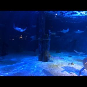 Meet your Posher, Matthew